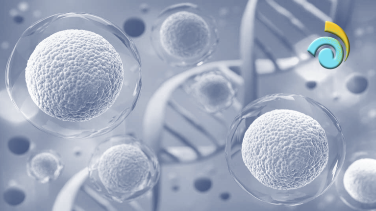 Medical research imagery